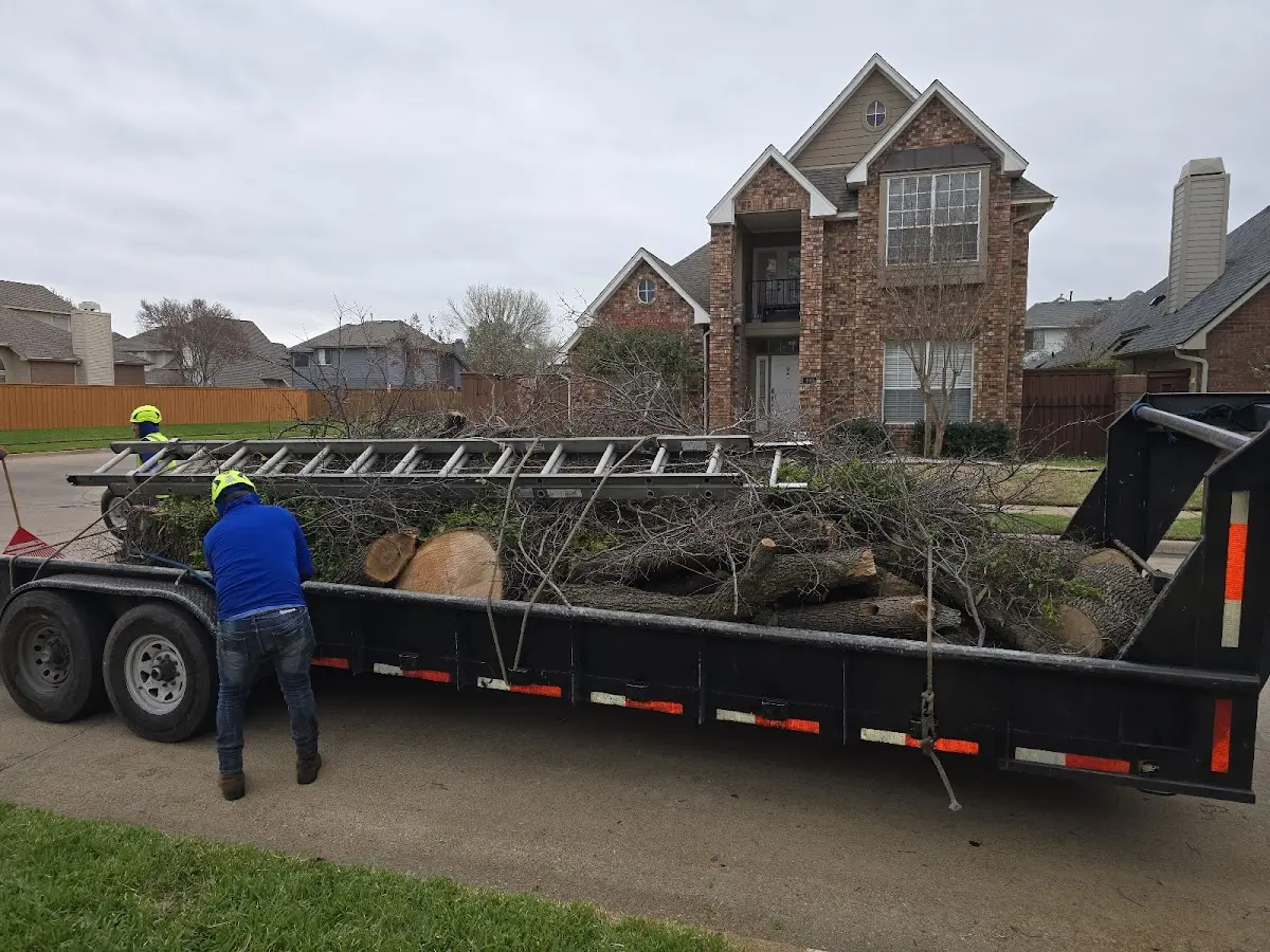Expert Lot Clearing with proper safety equipment in Alberta